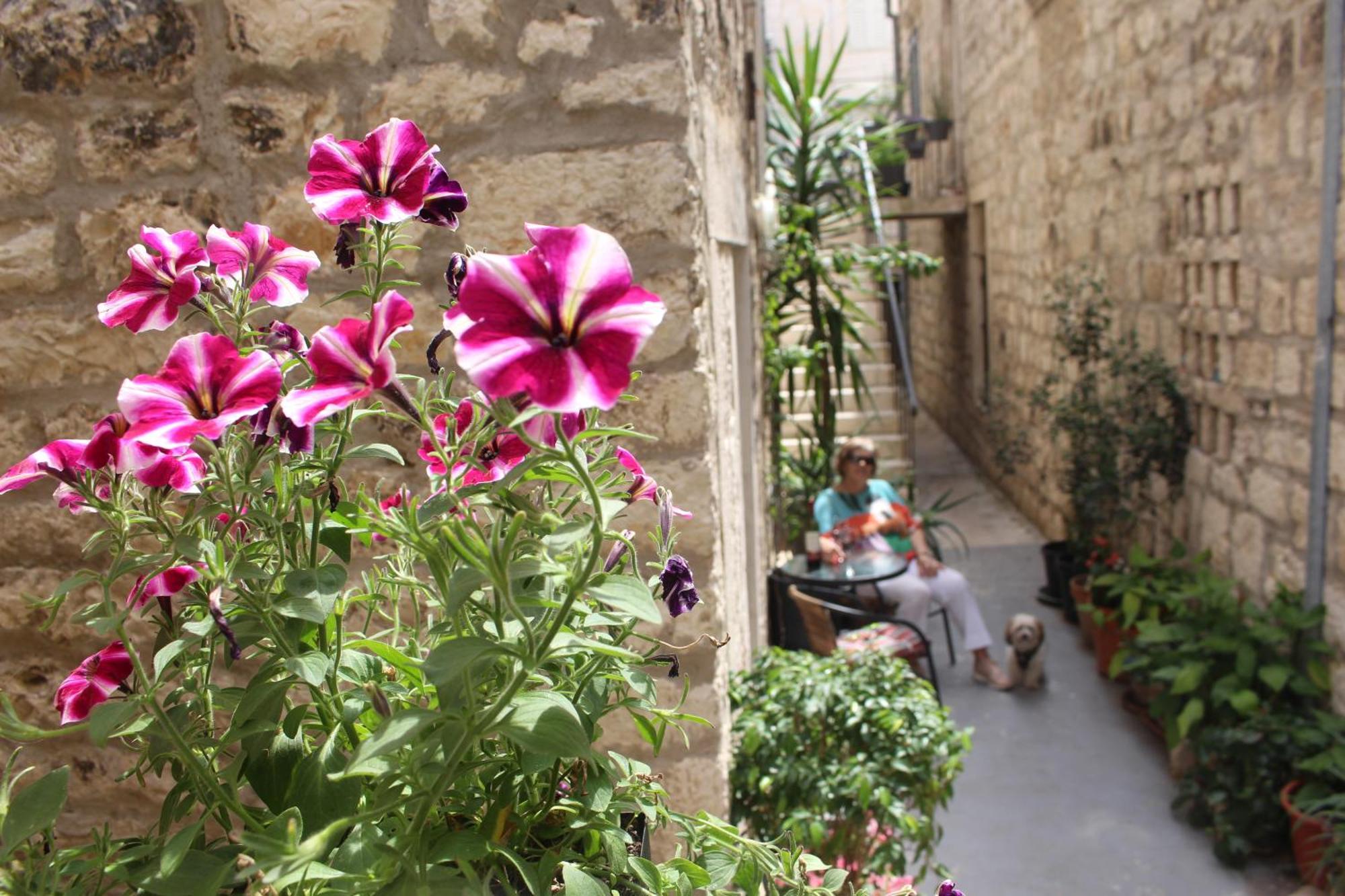 Street Garden Apartment Hvar Town Exterior photo
